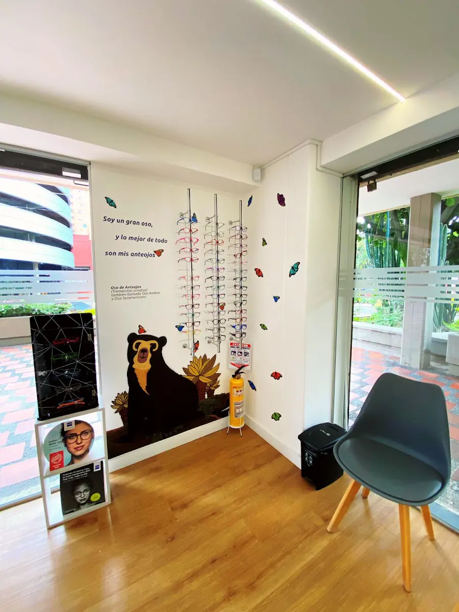 Interior de Óptica Visiona con piso de madera, silla y vitrinas